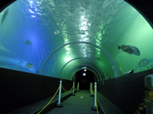 水中トンネル